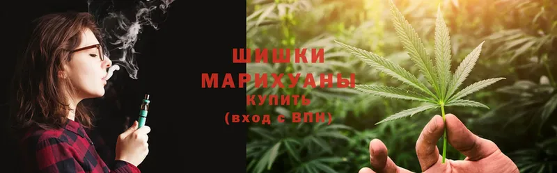 где купить наркотик  Борисоглебск  Канабис THC 21% 